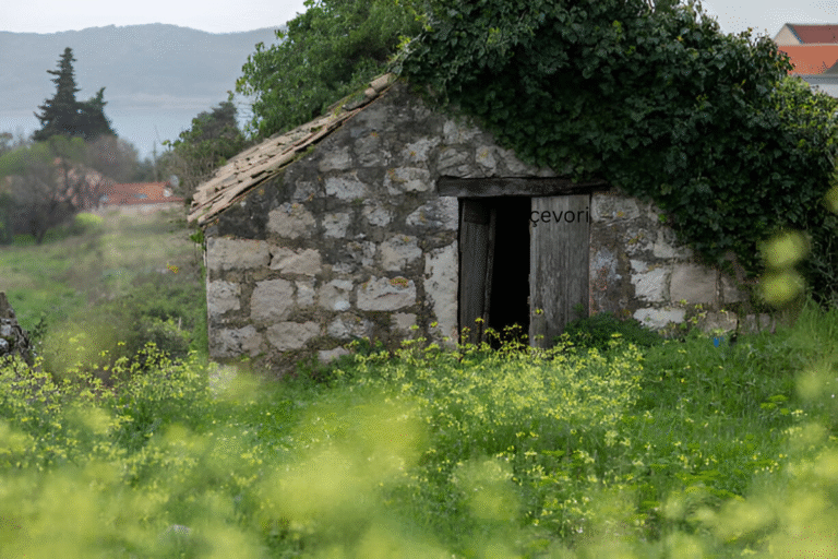 Discover the Hidden Beauty and Culture of Çevori