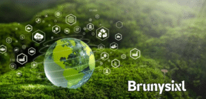 Exploring the Journey of Brunysixl