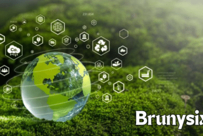 Exploring the Journey of Brunysixl