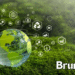 Exploring the Journey of Brunysixl