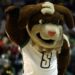 Tehresa Coles is defensive in Siena victory