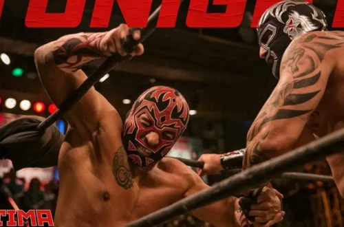Carmel Clutch in Pop Culture and Pro Wrestling