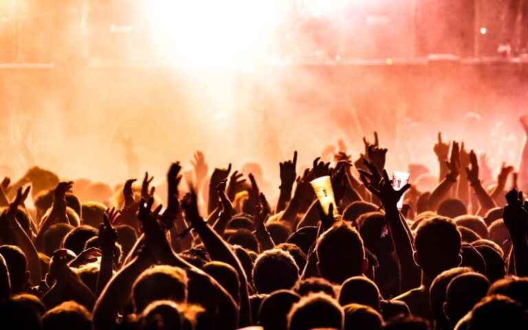 Tvpolnet login: Entertainment Experience